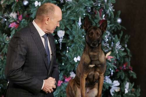 Неожиданно! Дубровский поздравил южноуральцев вместе с полицейской собакой
