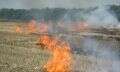 лесной пожар в кизильском районе