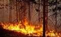 лесные пожары в кизильском районе